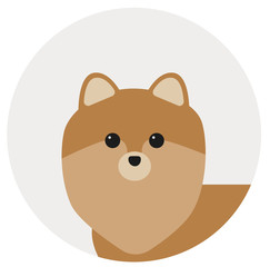 pomeranian illustration in circle illustration on white background