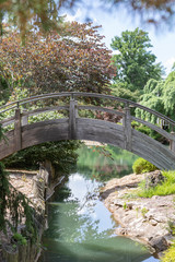 Fototapeta na wymiar Wooden bridge crossing small pond in Japanese garden
