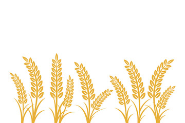 wheat field vector illustration. Growing Plant Agriculture wheat Grain Sign Symbol Icon vector isolated on white background. Agriculture wheat vector Illustration.