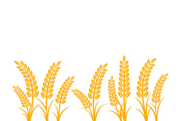 Agriculture wheat vector Illustration design template. elements of wheat grain, wheat ears, seed or rye, prosperity symbol