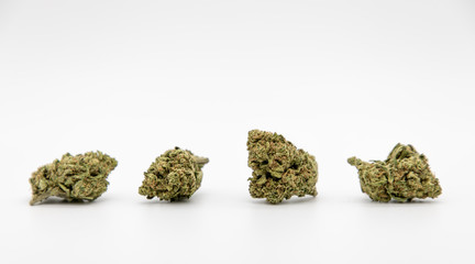 Multiple marijuana buds on white background