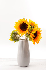 Classical artistic aesthetic, summer flower, still life composition and beauty in nature concept theme with sunflowers in a vase on wood table against white background