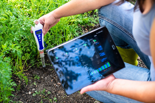 PH meter tester in soil. Measure soil with digital device and tablet. Woman farmer in a garden.