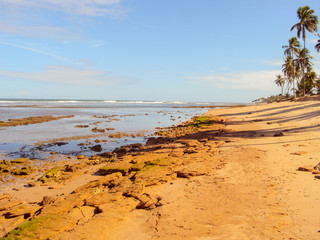 Praia tropical com seus corais e coqueiros, praia do Forte, estado da Bahia, Brasil 
