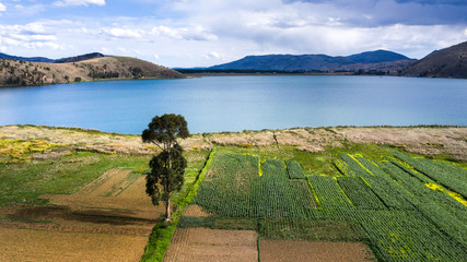 Crop fields in the Peruvian Andes (Paca lake) in Junin