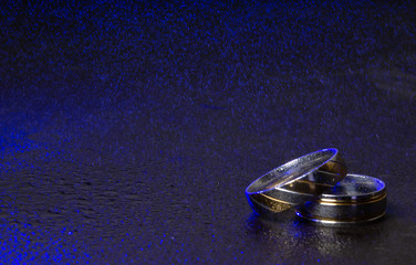 anillos bodas boda pareja union