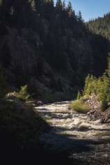 A river running through a mountain valley in Colorado. 