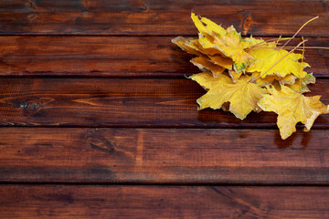 Naklejka na ściany i meble Autumn leaves on a dark wooden background.Top view, copy space. 