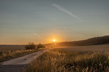 Sonnenuntergang am Getreidefeld 2