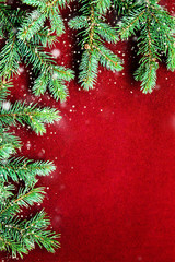 Cozy natural background with pine branches for Christmas and New Year cards