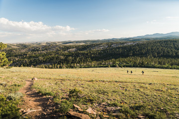 Hikers walking down a hill near Lander, Wyoming during summer.  © Rosemary
