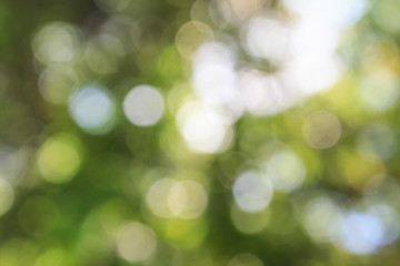 Obraz premium abstract green background with bokeh