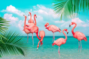 Fotobehang Vintage and retro collage photo of  flamingos standing in clear blue sea with sunny sky summer season with cloud and green coconut tree leaves in foreground. © iareCottonStudio