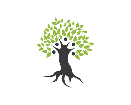 family tree logo template vector illustration