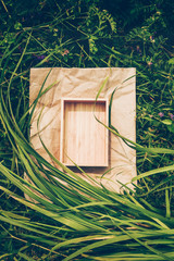 Creative background from plants, frame from kraft paper and box of wood. Vegan Product Concept