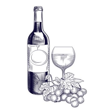 Hand drawn wine bottle, glass and grapes. Engraving style.