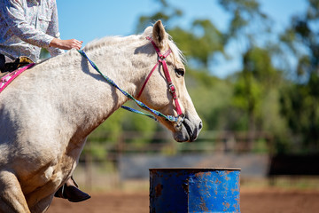 Horse And Rider Competing In Barrel Race At Outback Country Rodeo