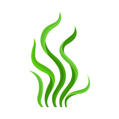 Green bush algae. Vector illustration on white background.