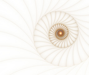 Golden spiral on white background. Fractal art