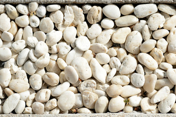 Small white pebbles close up. Natural abstract background