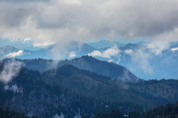 Fototapeta na wymiar Fog in the mountains
