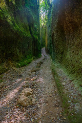 Le vie Cave, sentieri etruschi in Toscana, Italia