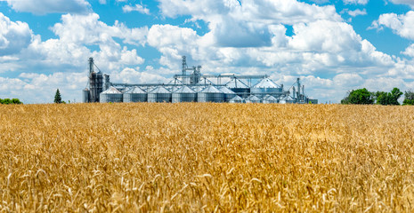 Field and elevator panorama © Maksym Dragunov