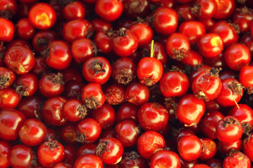 Ripe hawthorn berries close up