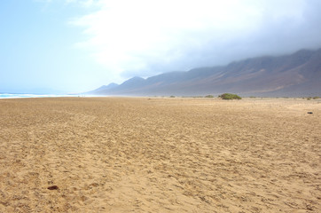 Wet Sand on a Long Beach After the Storm in Fuerteventura, Canary Islands