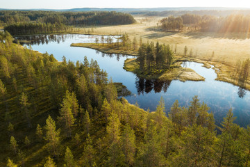 Bog and lake in Tiilikkajärvi National Park in Finland