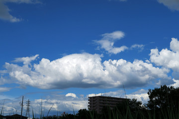 田舎の青空　田舎の夏空　青空　夏空