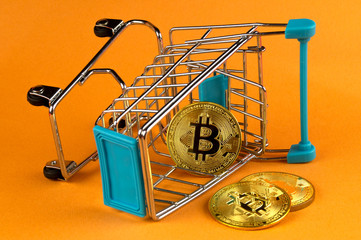 Bitcoin BTC cryptocurrency means of payment in the financial sector