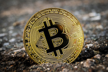 Bitcoin BTC cryptocurrency means of payment in the financial sector
