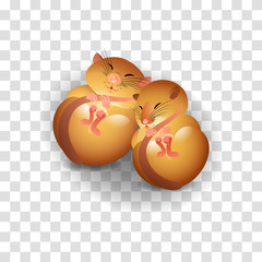Two little cute mice sleep together in a hole. The illustration on a transparent background.