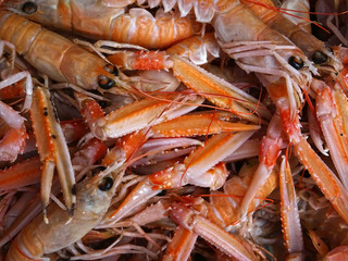  Close Up Fresh Shrimps/prawns On Display On Ice On Fishermen Market Store Shop. Top view.  
