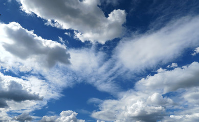 Obraz premium 青空 夏雲 青空と雲 青空と夏雲