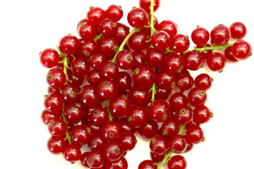 Ripe fruits of red currant.