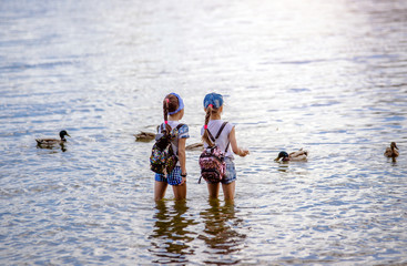 Girls feed wild ducks swimming in the lake 