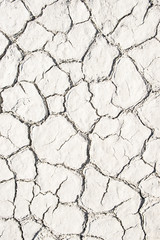 dried earth with cracks texture