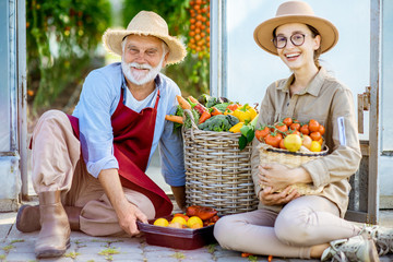 Portrait of a young woman and senior agronomist with freshly plucked variuos vegetables. Harvesting in the greenhouse of a small agricultural farm