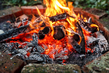 Closeup shot of bonfire with red hot embers, selective focus