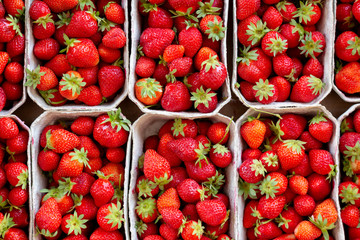 Many fresh strawberries in boxes for sale at a fruit market outdoors. Top view. Healthy food