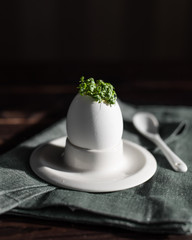Micro greens in an egg shell