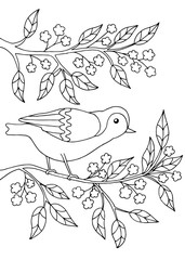 Bird sitting on a branch, coloring page