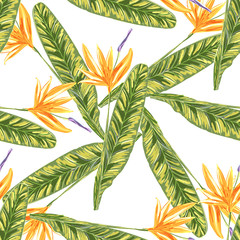 Beautiful illustration for textile design. Flower background. Fashion floral print. Decorative print. Watercolor drawing. Daisy flower drawing.