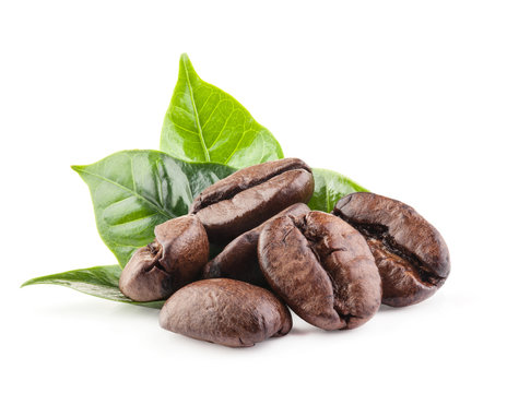 Coffee beans isolated on white background with clipping path - fresh coffee beans with leaves isolat