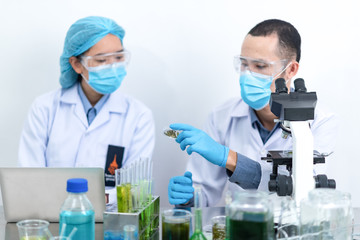 The scientist test the natural product extract, oil and biofuel solution, in the chemistry...