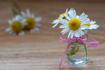 daisy in a vase on wooden table