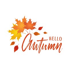 Hello autumn hand lettering phrase with autumn leaves. Templates for sale banners, flyers