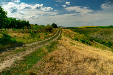 Fototapeta na wymiar Summer landscape with green grass, road and clouds